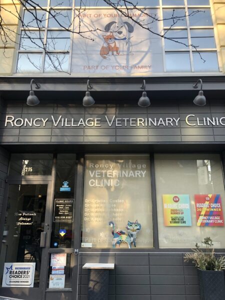 Roncy Village Veterinary Clinic