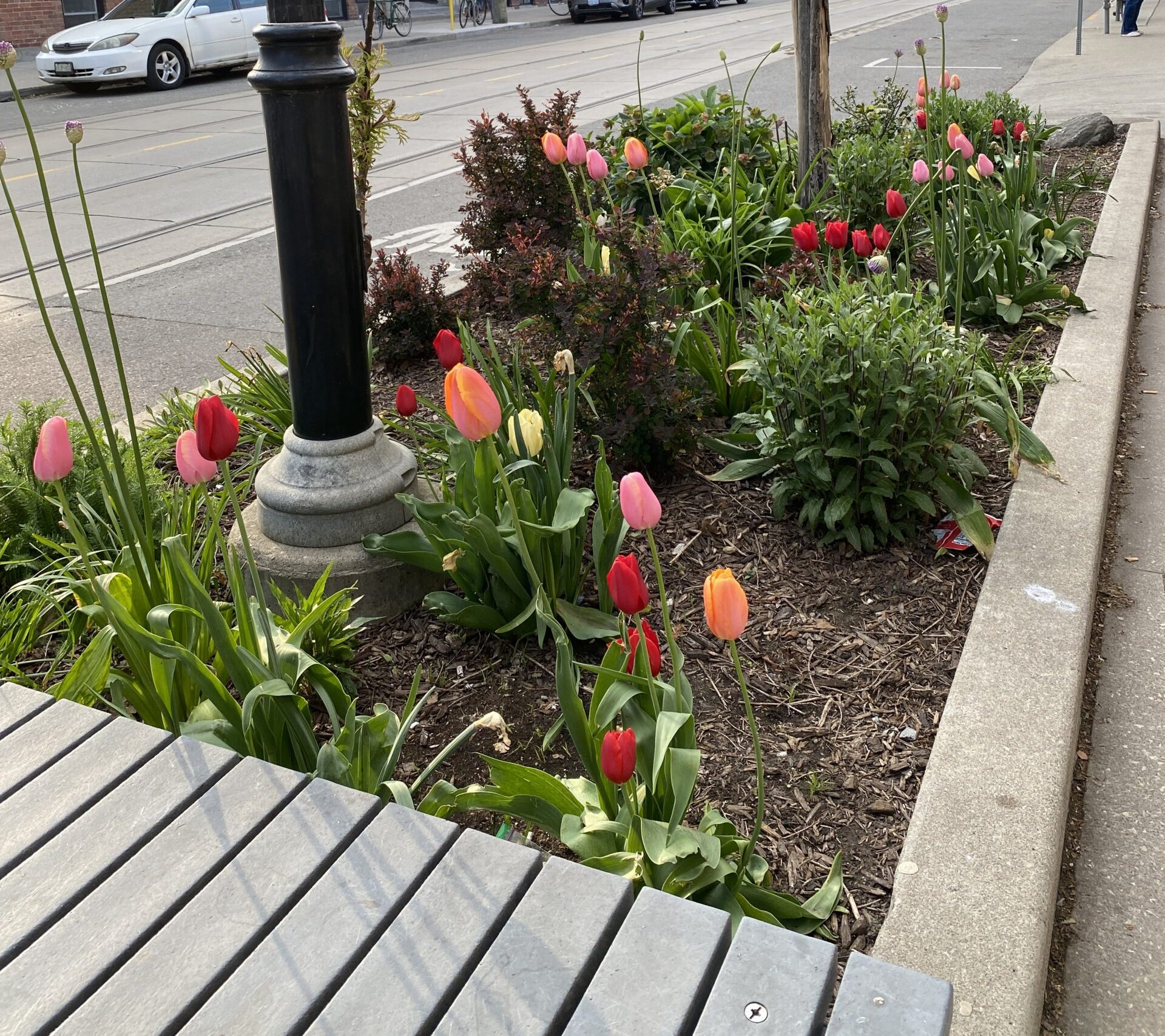 RFP/RFQ: Garden Design and Maintenance