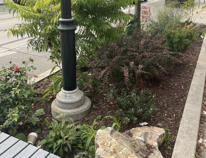 RFQ & RFP - Garden Maintenance & Garden Design