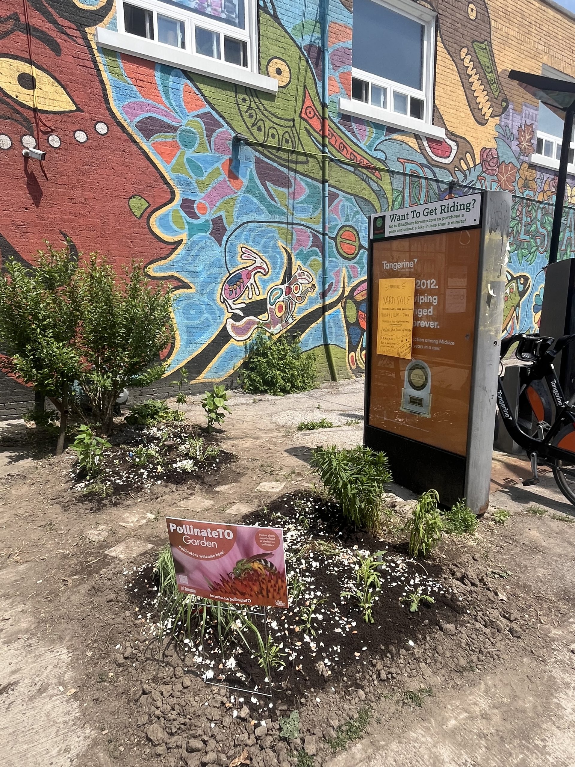 Roncesvalles Village Pollinator Corridor