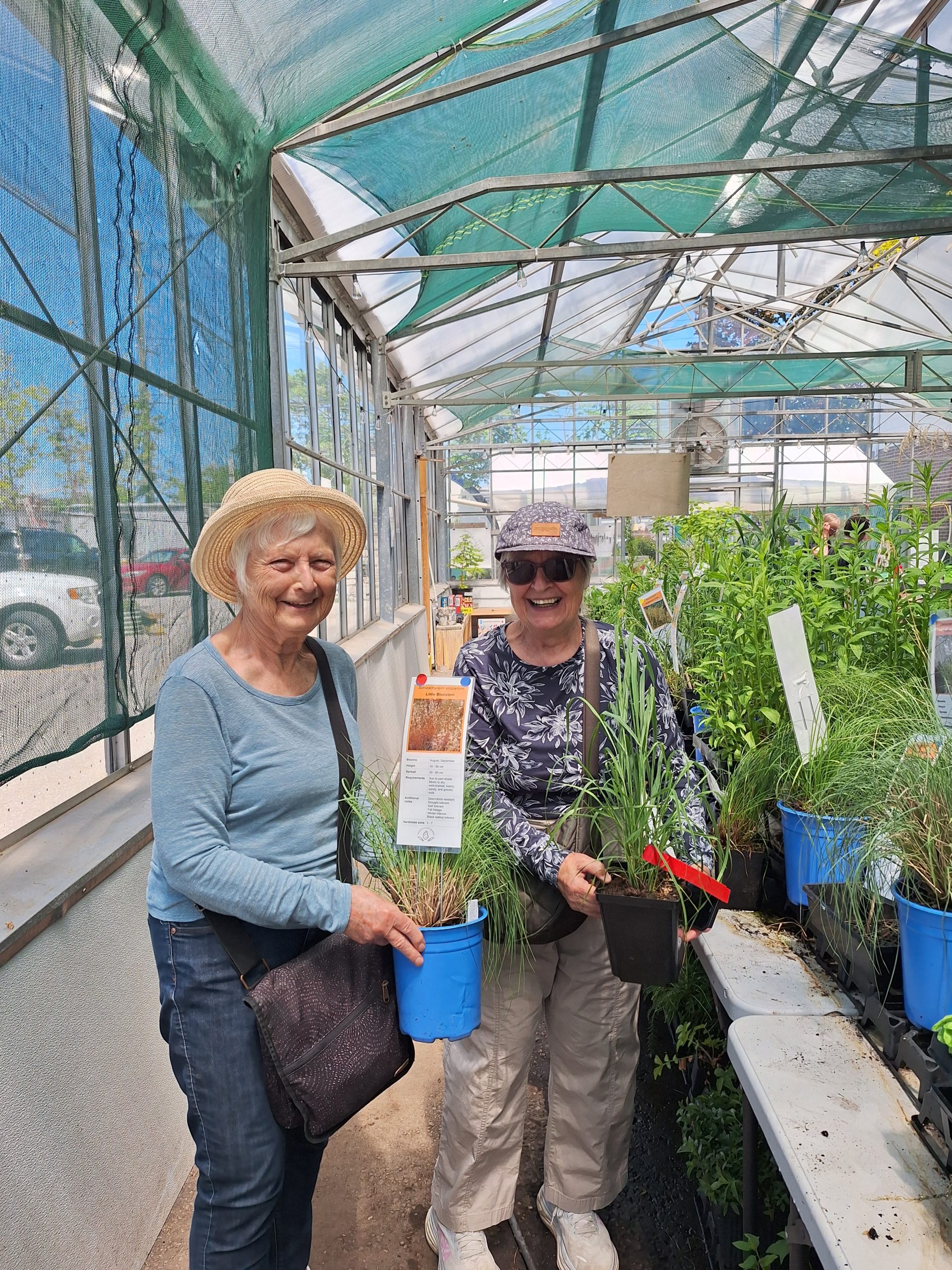 Buying plants