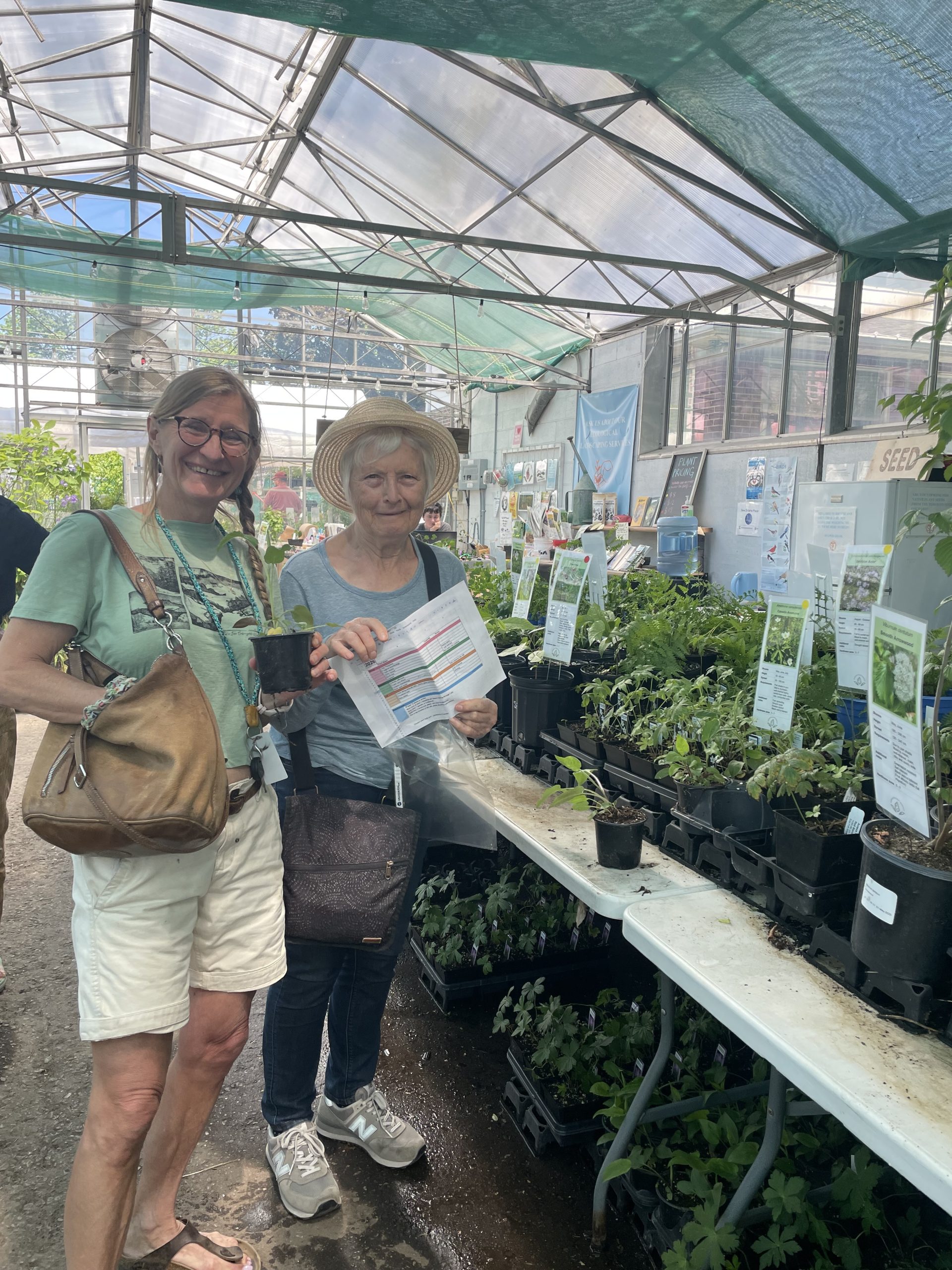Buying plants