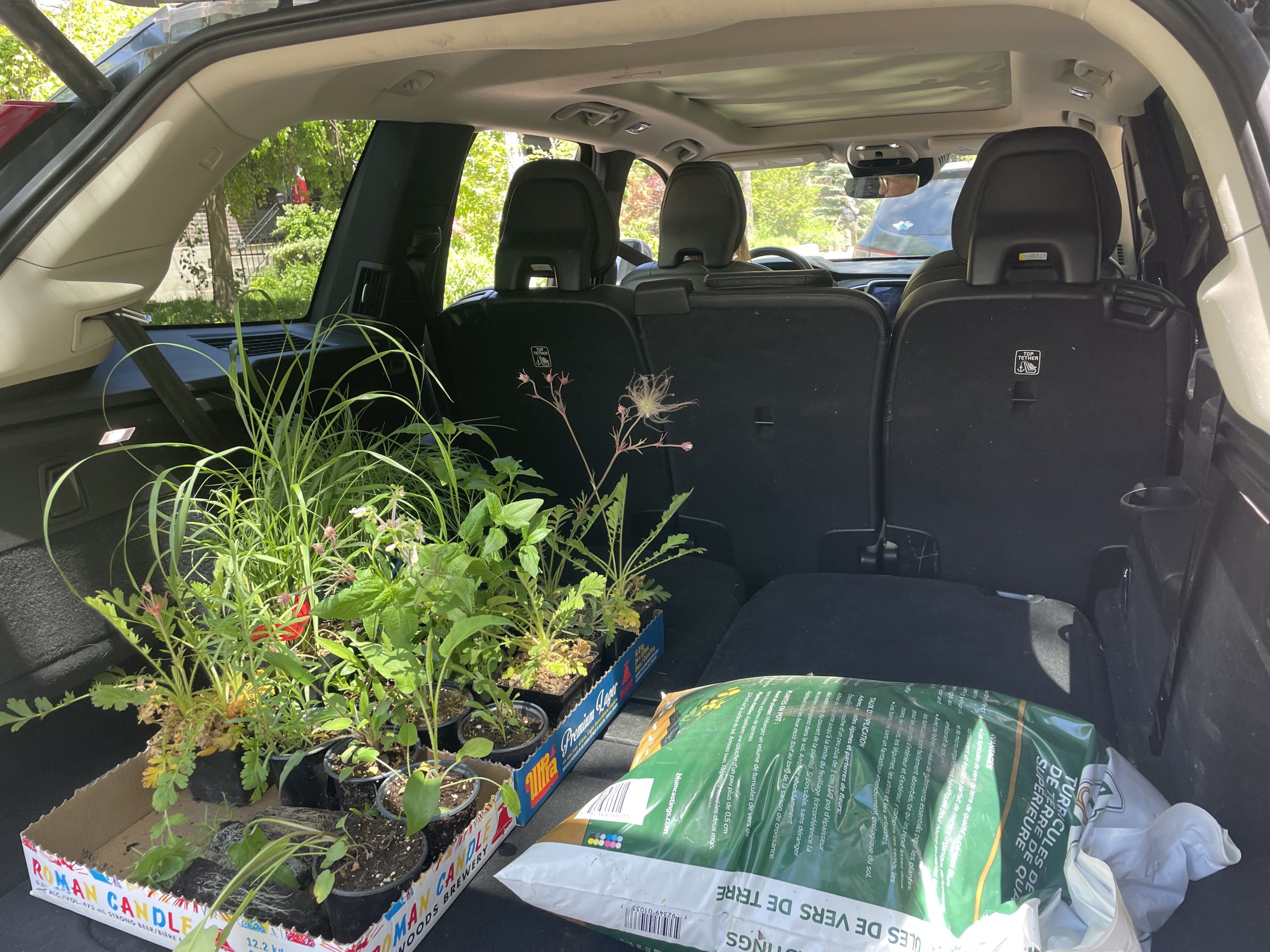 Plants and Materials