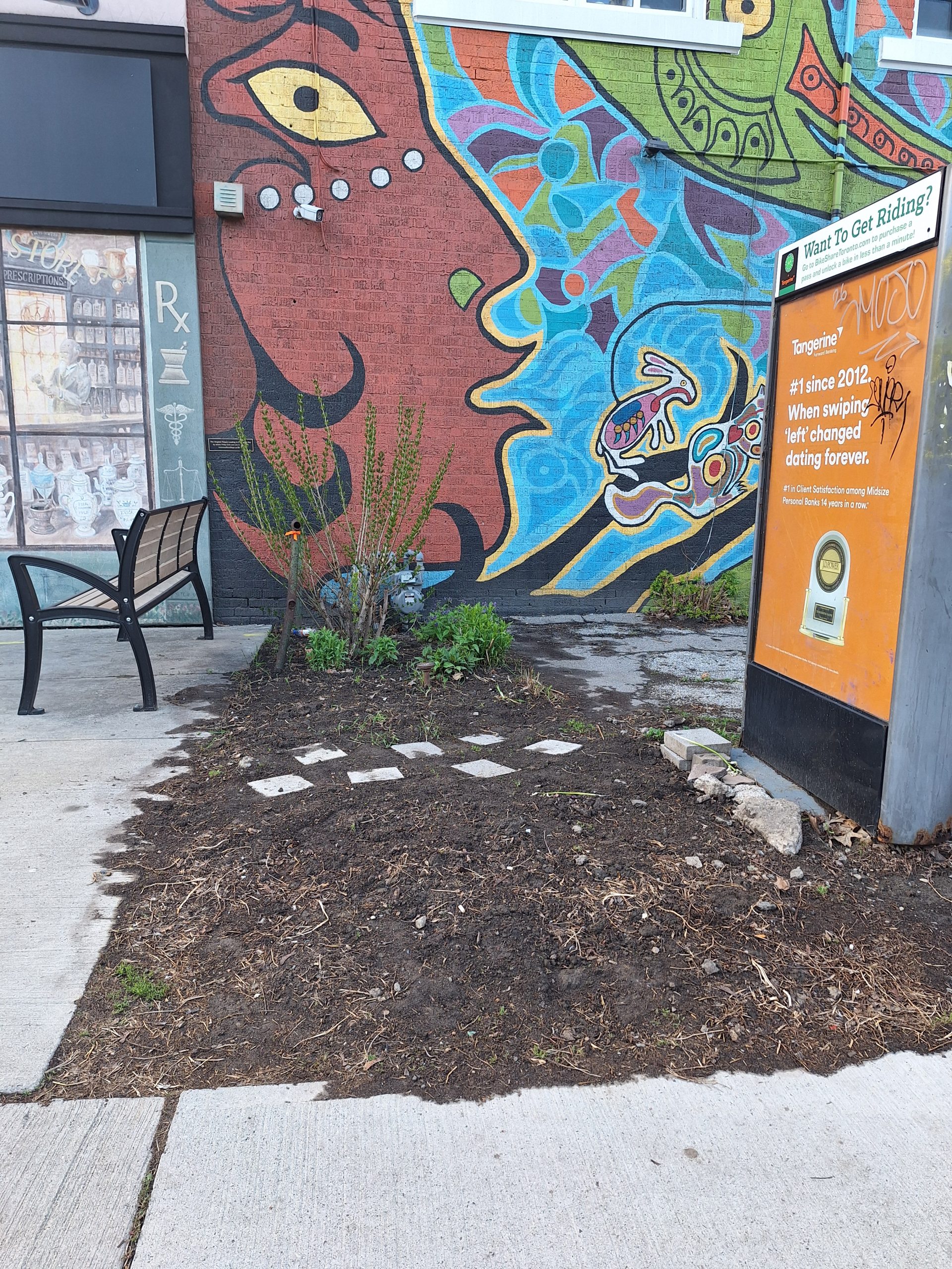 Before planting