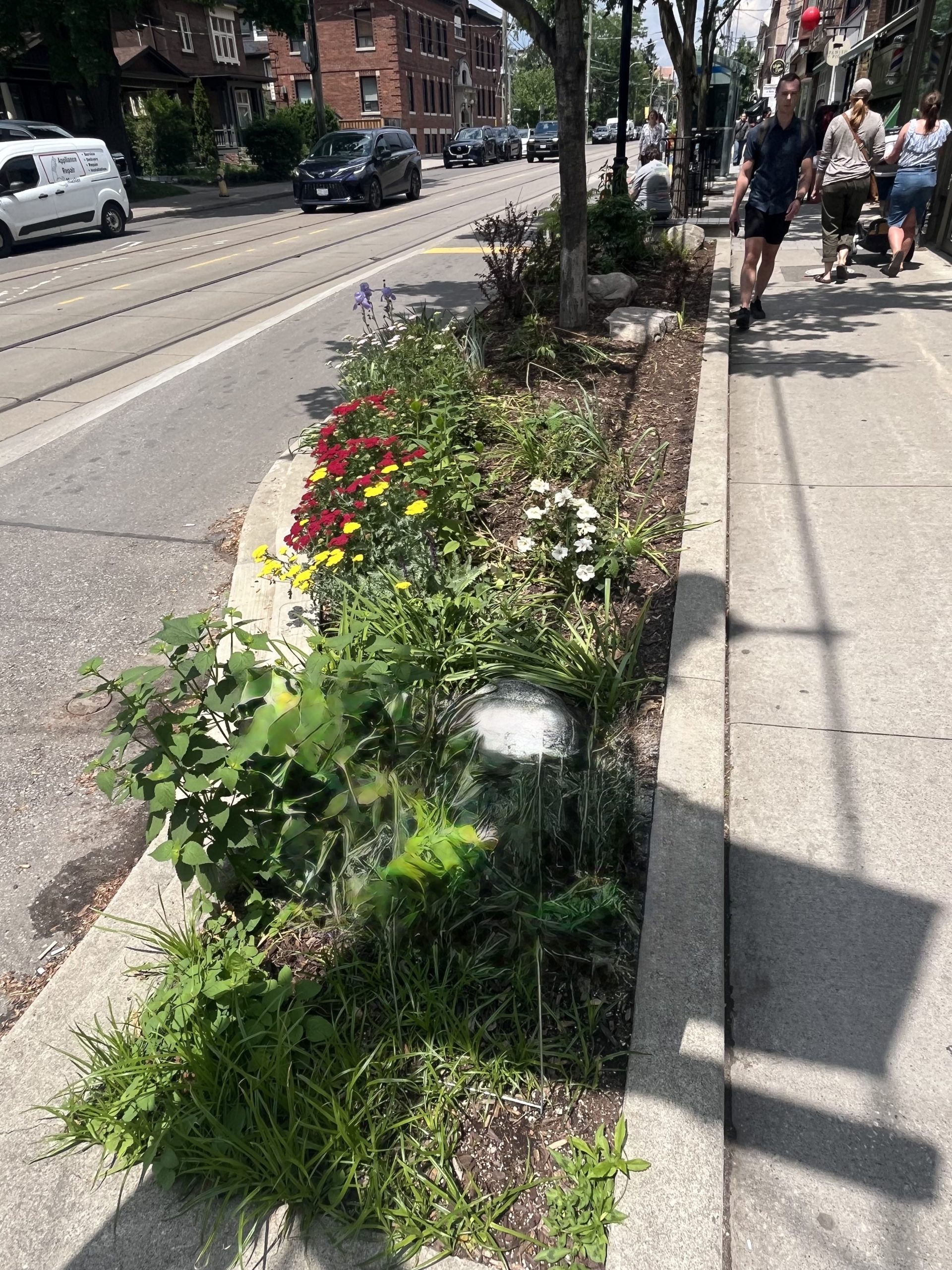 Before - 69 Roncesvalles Ave