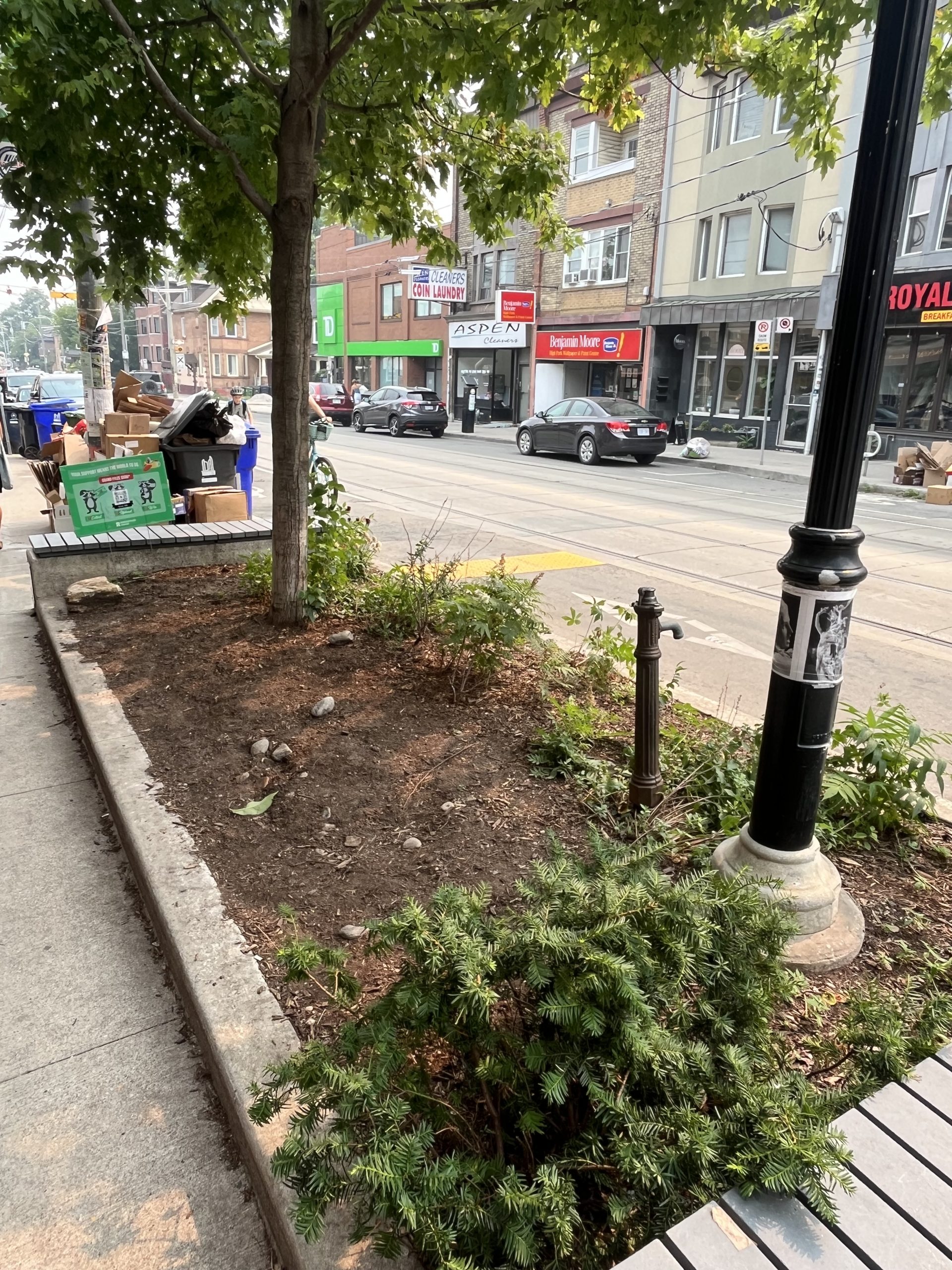 Before - 403 Roncesvalles Ave