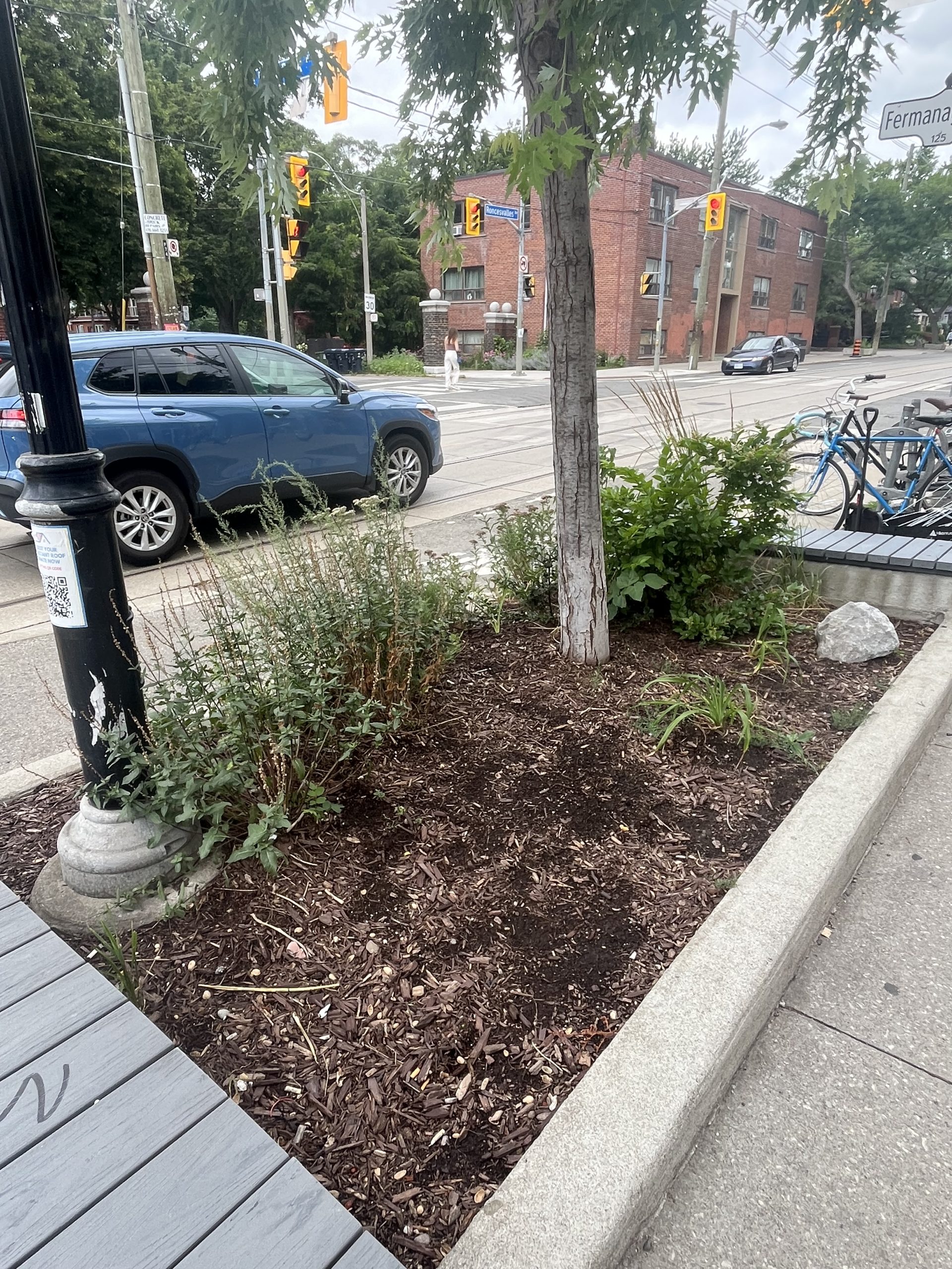 Before - 233 Roncesvalles Ave