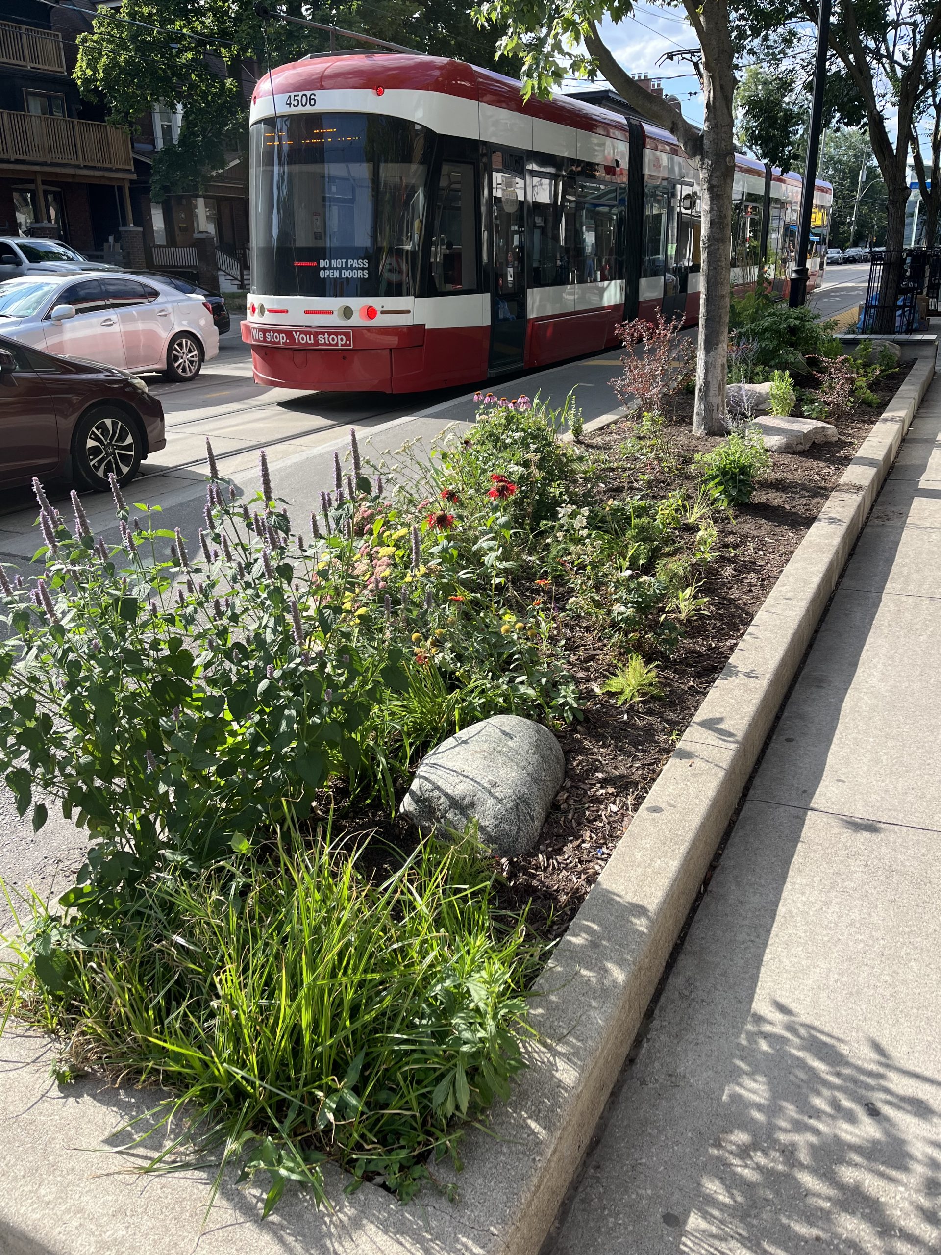 Garden Bed Planting Update