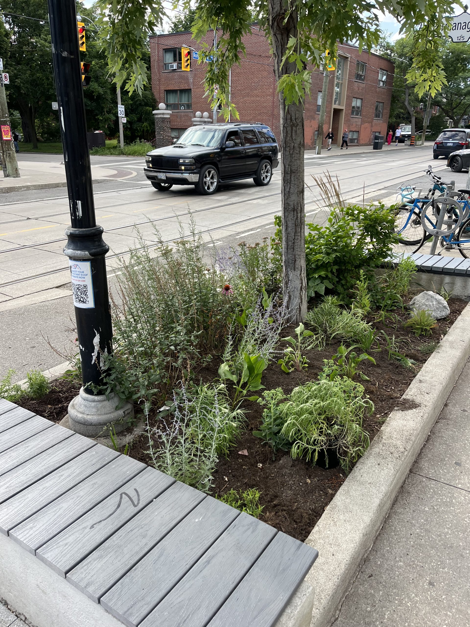 After - 233 Roncesvalles Ave