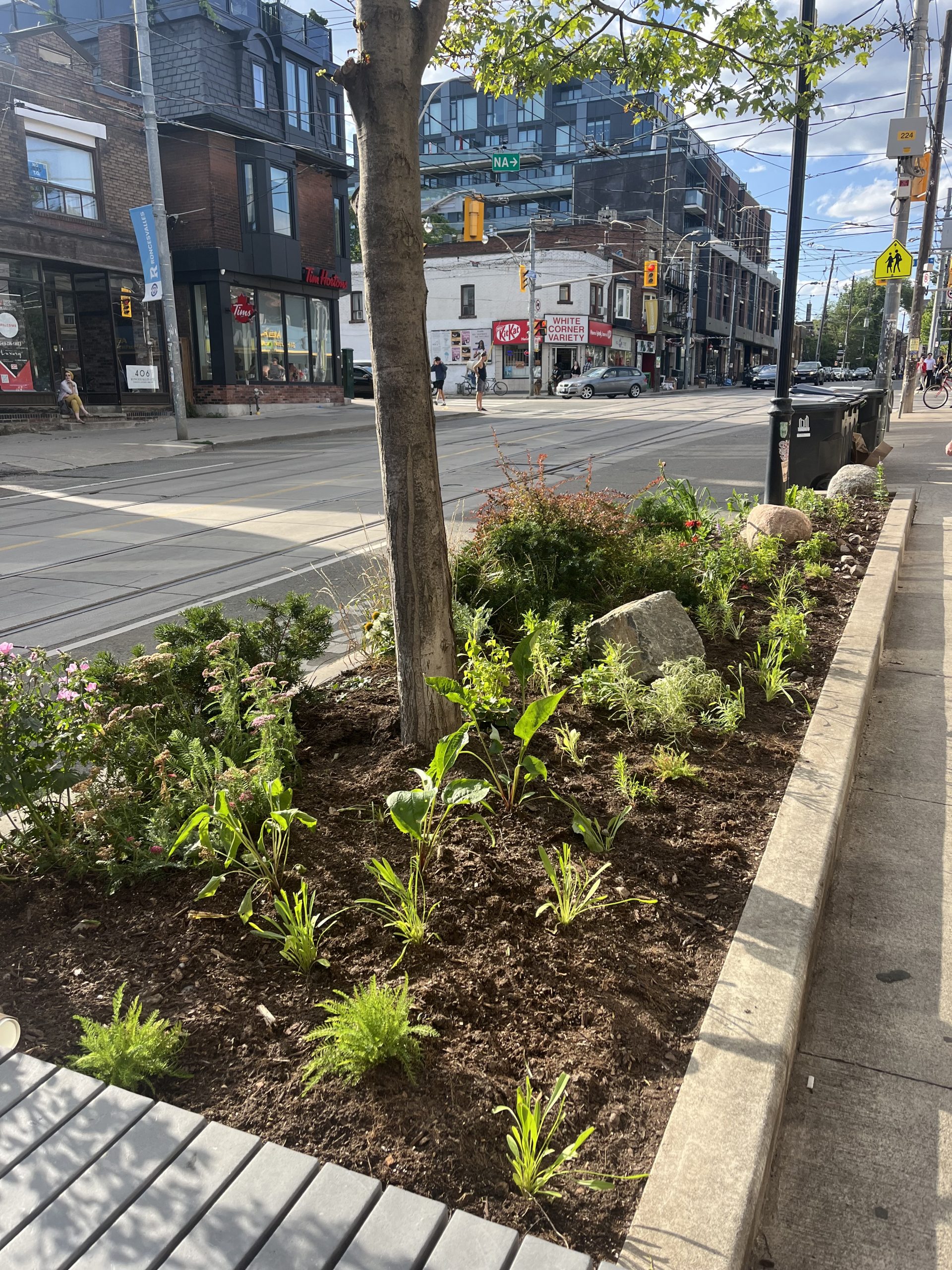 After - 413 Roncesvalles Ave