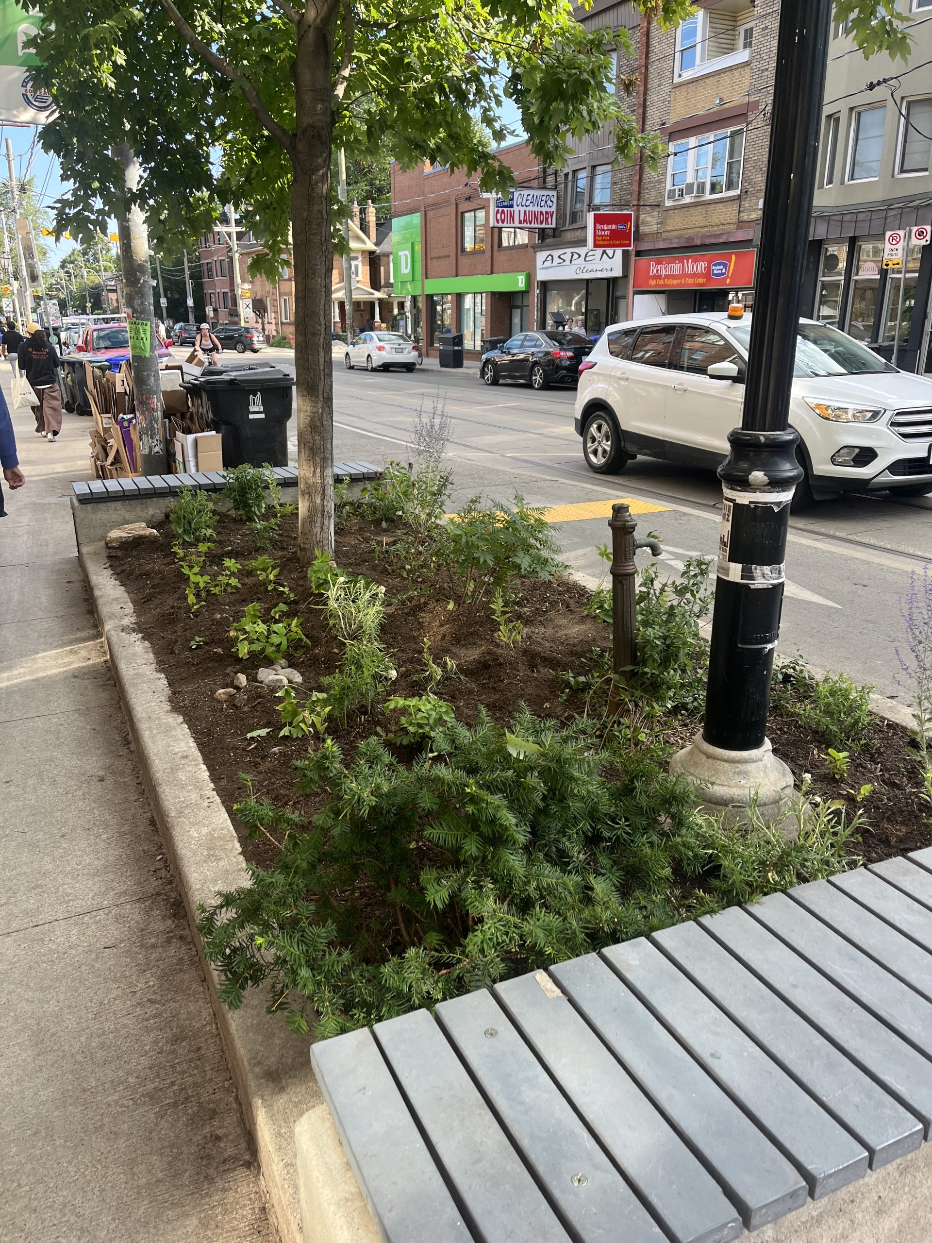 After - 403 Roncesvalles Ave