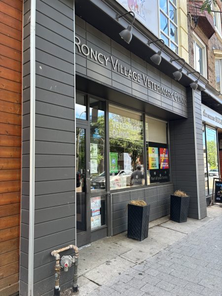 Roncy Village Veterinary Clinic